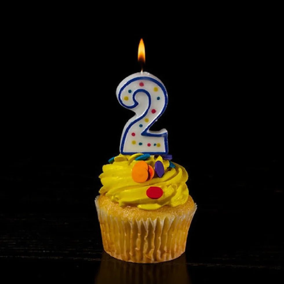 It's our BIRTHDAY!!! (Sale Terms) - West3D 3D Printing Supplies