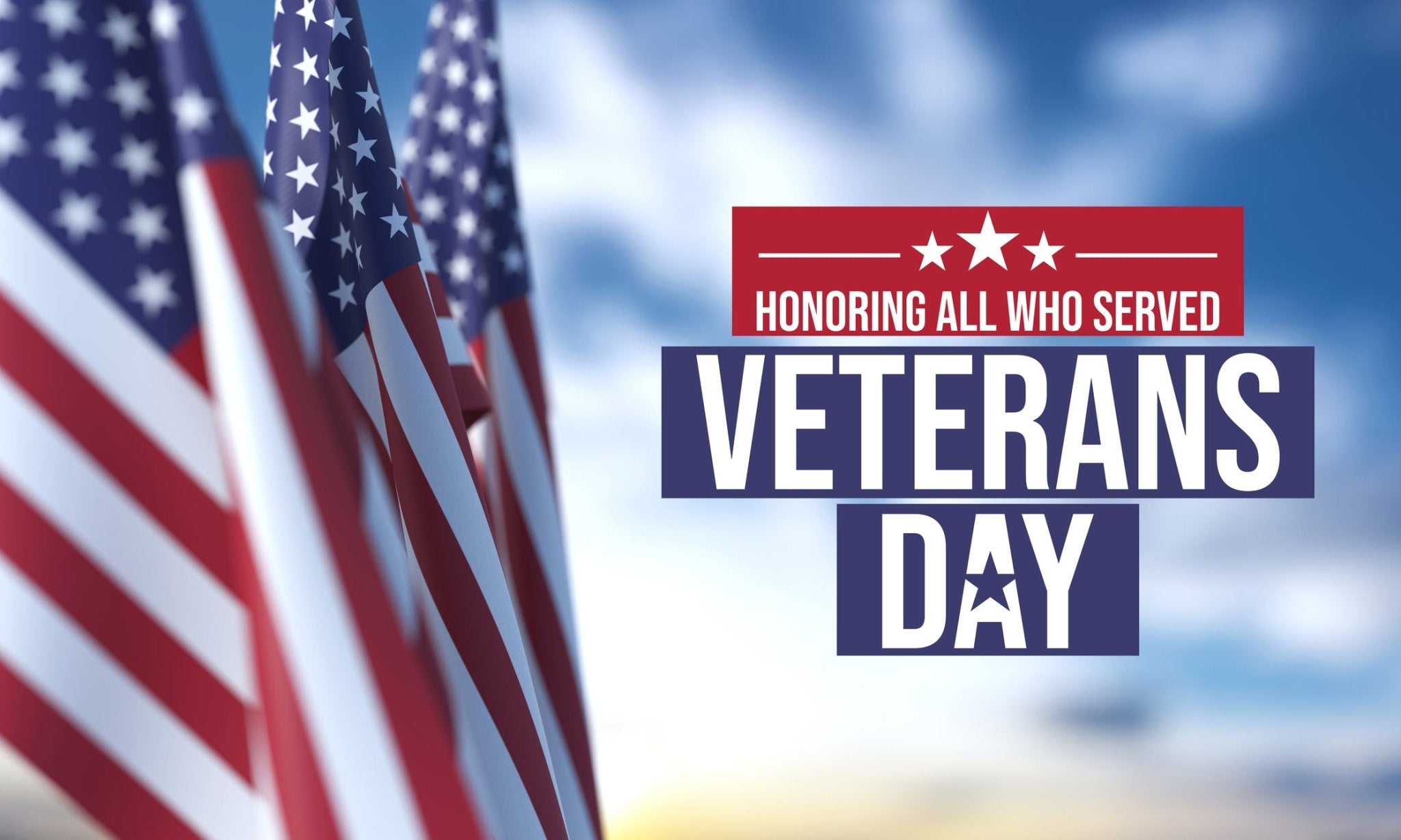 Veterans' Day Sale - West3D 3D Printing Supplies